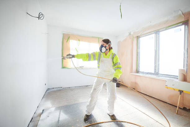 Best Dehumidification Services  in Val Verde Park, TX